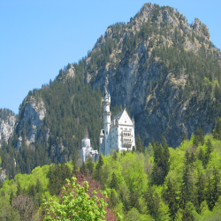 Neuschwanstein  Picture 056.jpg